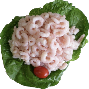 Salad Shrimp 