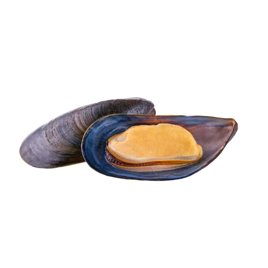 Blue Mussels