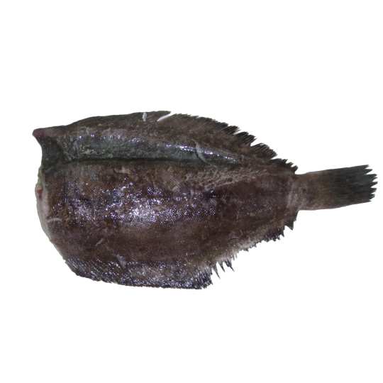 Pacific Dover Sole 