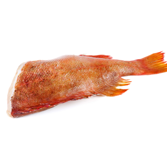 Red Fish - Sebastes Marinus