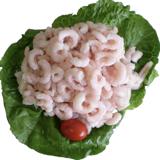 Salad Shrimp 